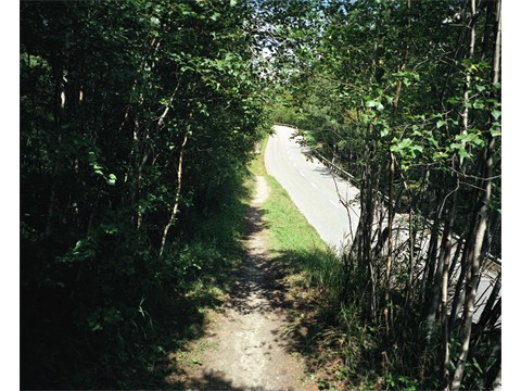 fst002499