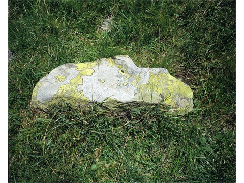 fst002541