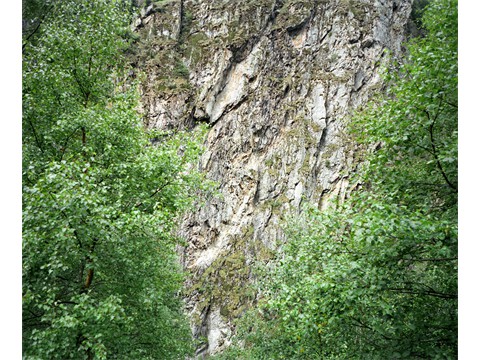fst002573