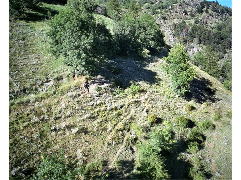 fst002585